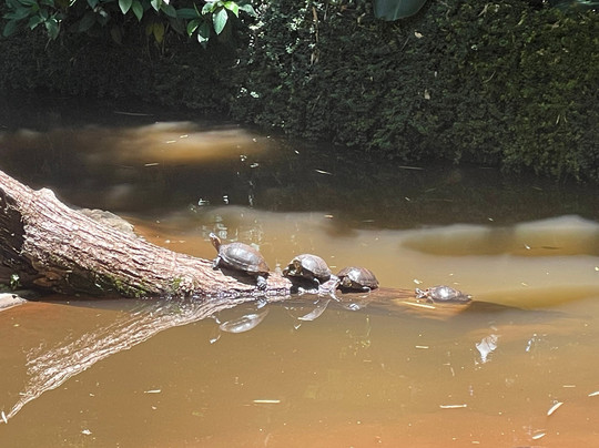 Iguassu Guide-伊瓜苏必去景点