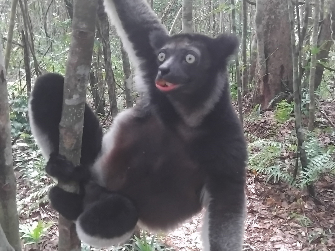 Theo Tours-安塔那那利佛必去景点