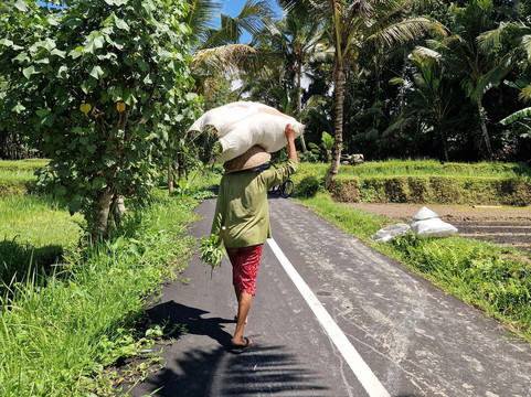 Jatiluwih Cycling & E-bike Tours With Bali By Pedals-达巴南必去景点