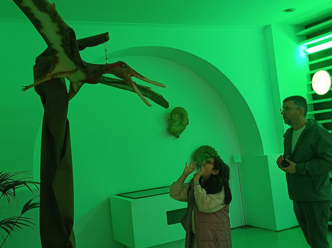 Museu de História Natural-辛特拉必去景点