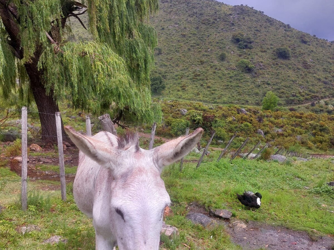 El Puesto de Ferreyra-圣哈维尔必去景点