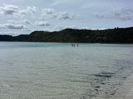 Great North Tours Limited-汉密尔顿必去景点