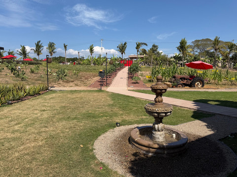 Rancho Orgánico El Edén-新瓦雅塔必去景点