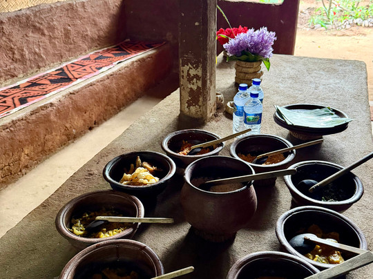 Sri Lanka Tour with Sujeewa-Kandana必去景点