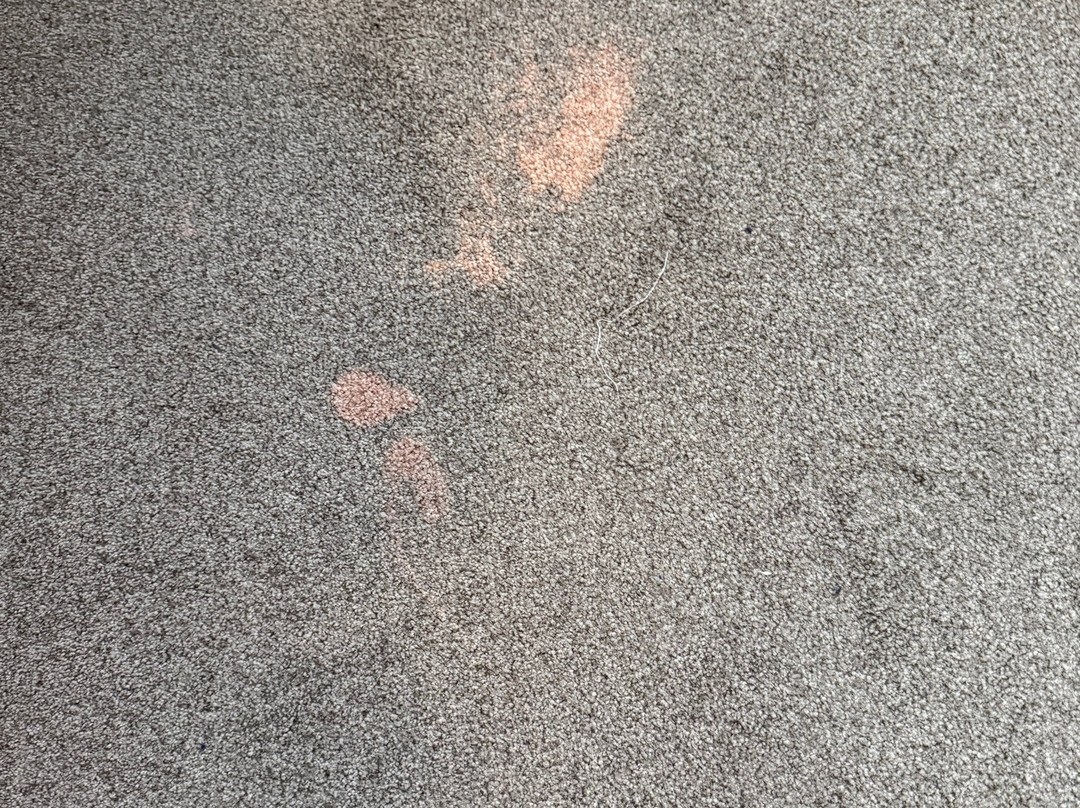 Gästehaus Alte Schule主图