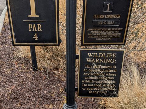 Tpc Louisiana-Avondale必去景点