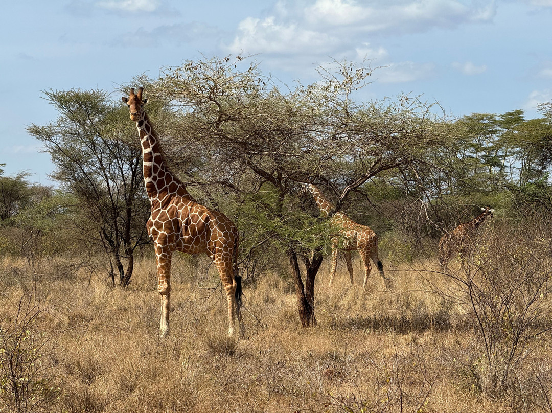 Agenzia Safari Vera Africa-东察沃国家公园必去景点