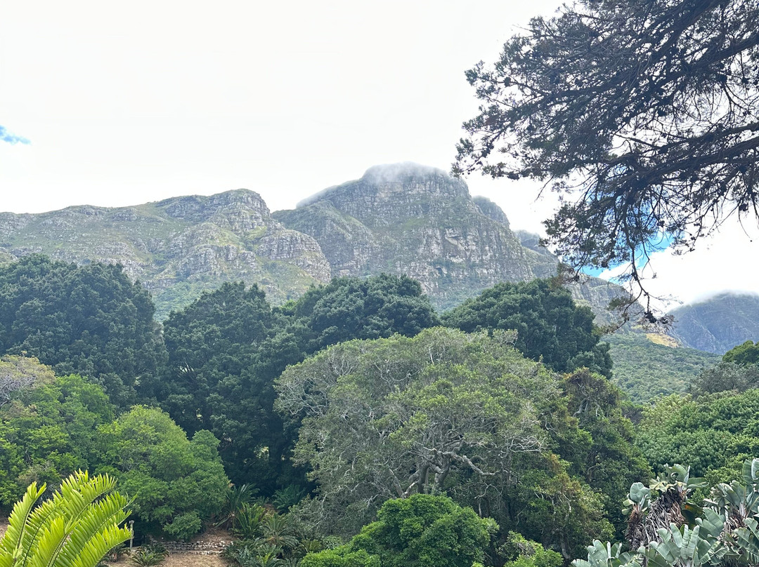 Tusk Adventures & Tours-开普敦中心区必去景点