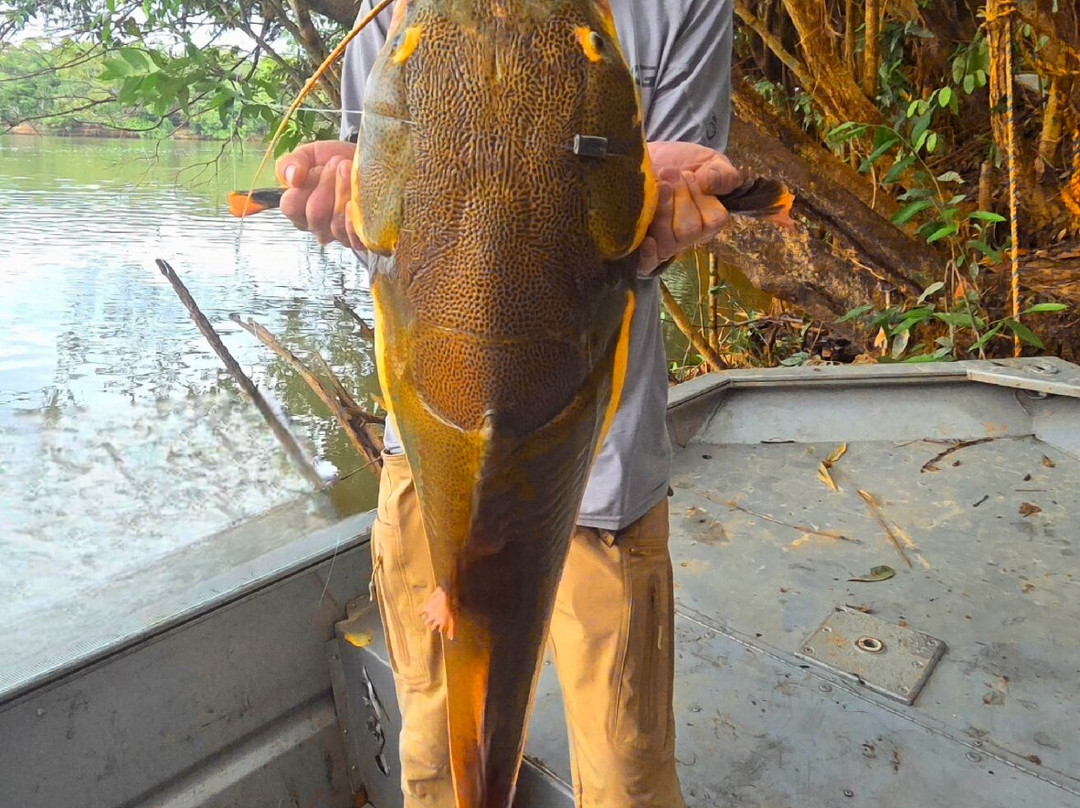 Fish Colombia-麦德林必去景点