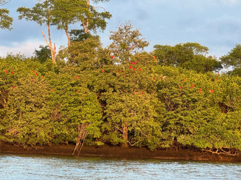 Rota Combo-Parnaiba必去景点