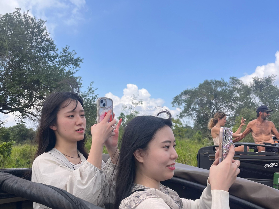 Lanka Safe Tours-科伦坡必去景点