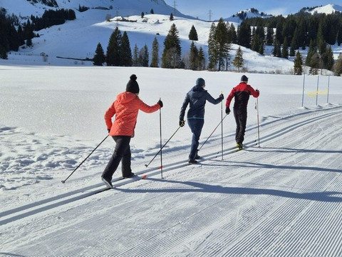里士奇维尔尼兹酒店主图