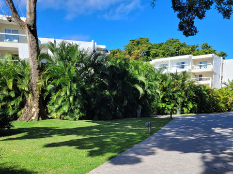 Emotions by Hodelpa Resort