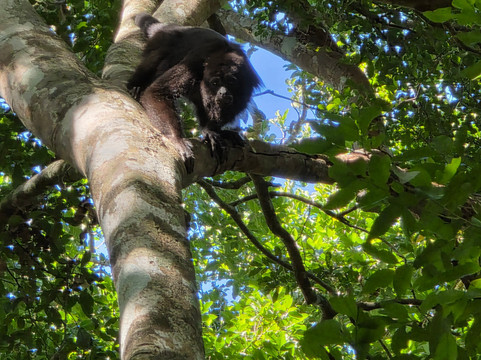 DANTA TOURS-Xpujil Town必去景点