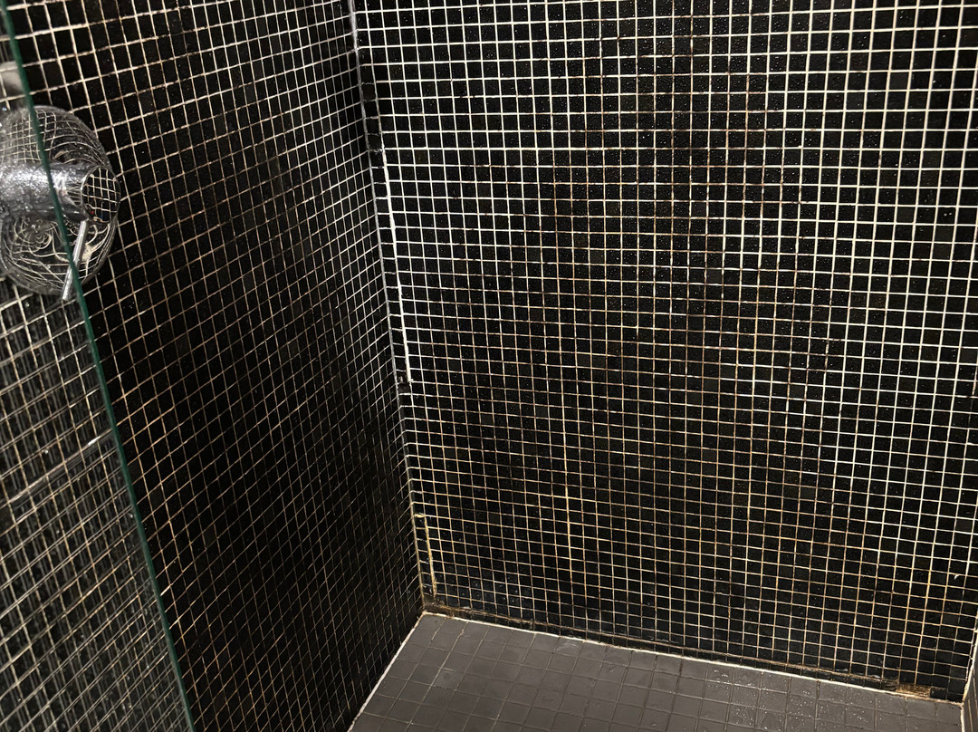 舞美皇冠酒店主图