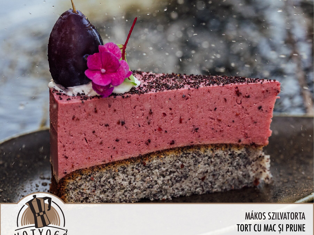 Kotyogó Panzió主图