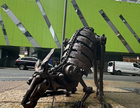 Local Sauce Tours-布里斯班必去景点