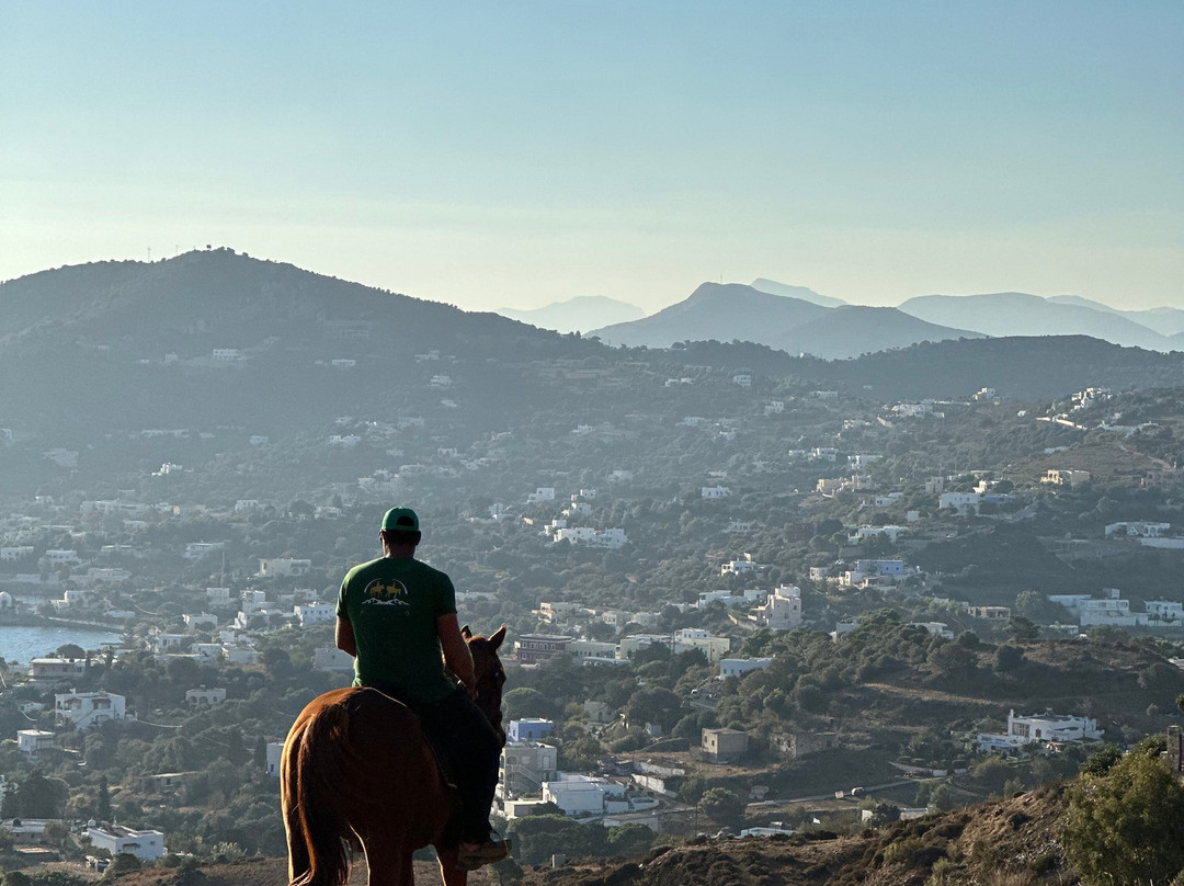 Horse Riding In Leros - The Mountain Ranch