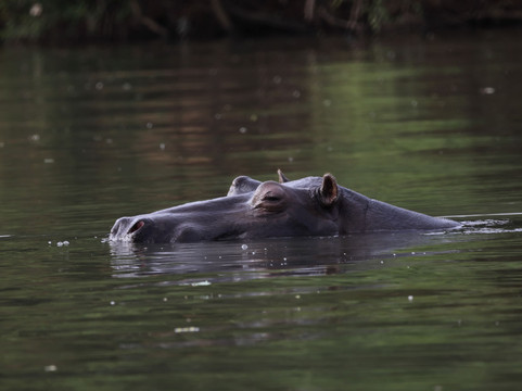 Youba Tour-索蒙必去景点