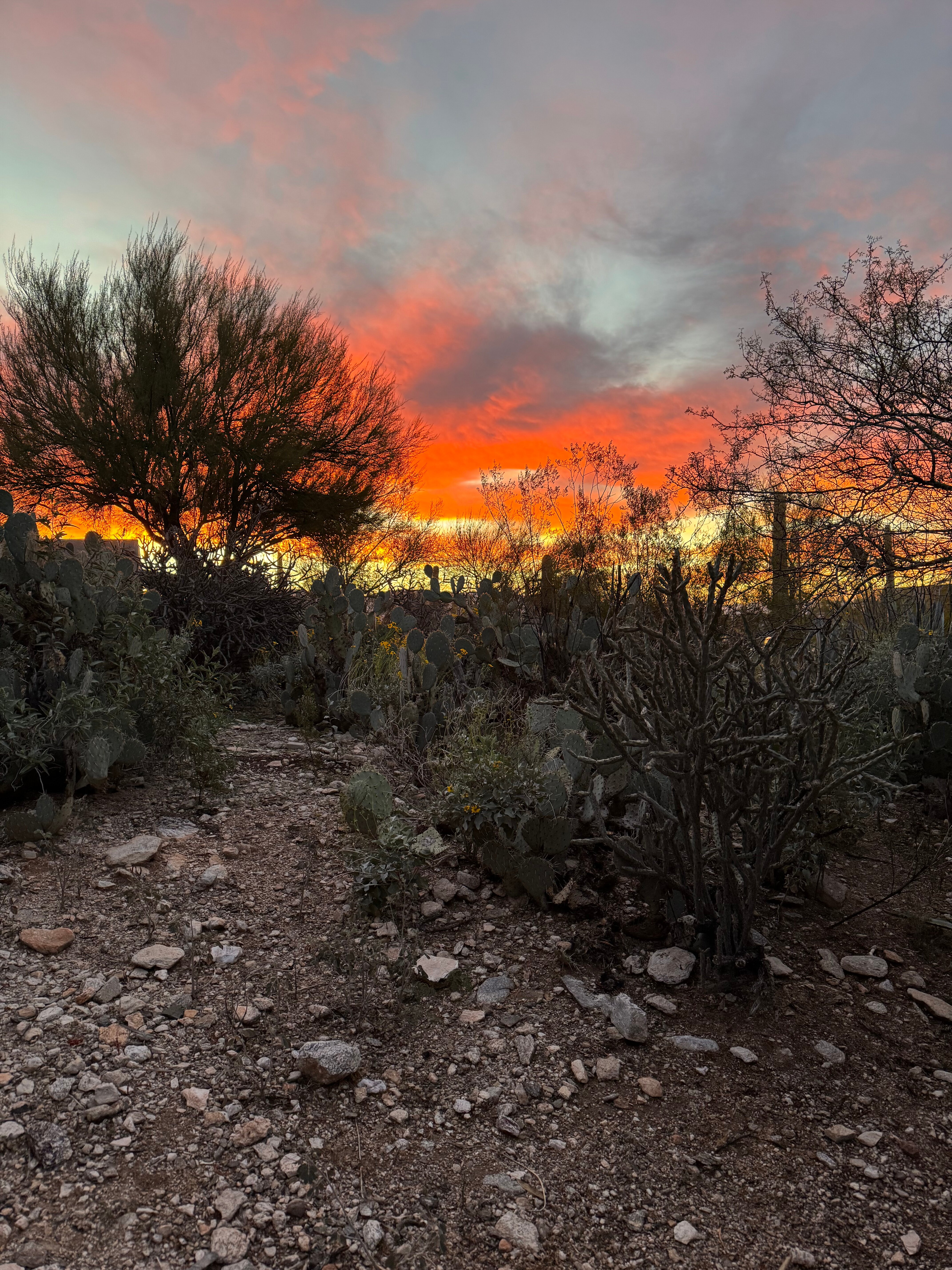 庄园游客牧场度假村-官方