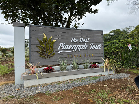 The Best Pineapple Tour Costa Rica-Rio Cuarto必去景点