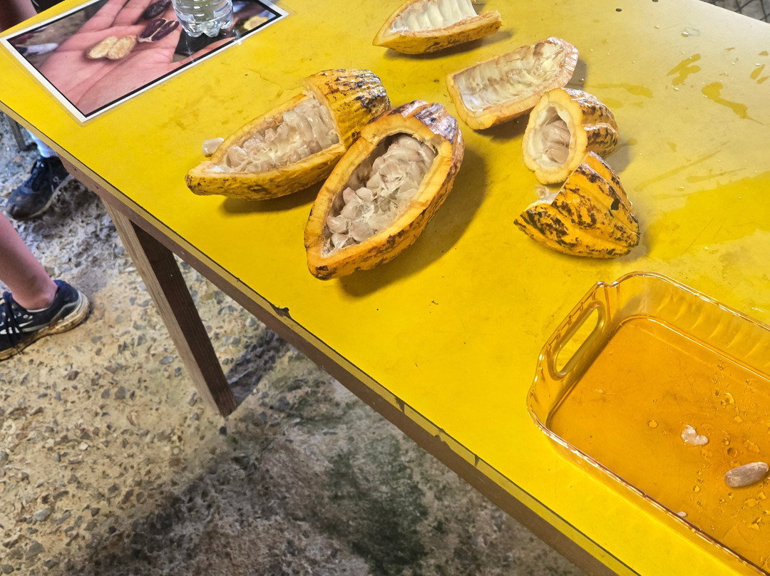 Finca De Cacao La PruVite-Luquillo必去景点