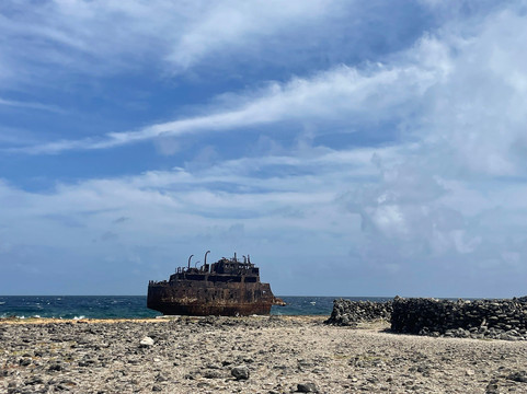 BlueFinn Charters-威廉斯塔德必去景点