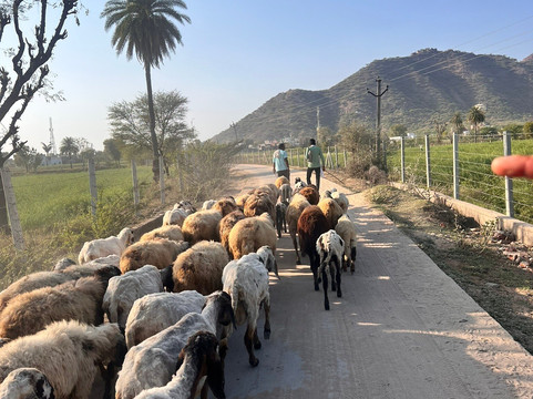 托迪加酒店主图
