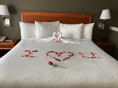 佳能贝斯特韦斯特酒店主图