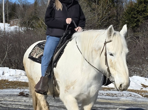 New & Gauley River Adventures-Lansing必去景点