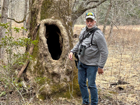 Spruce Photo Tours-汤森必去景点