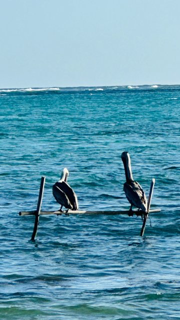 Jashita Hotel Tulum-官方