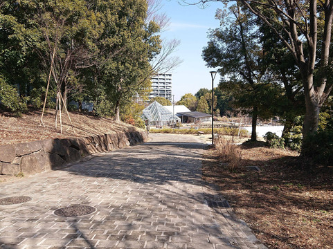 Tama Central Park-多摩市必去景点