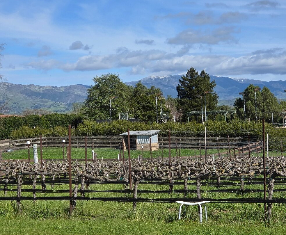 McKinney Family Vineyards-圣伊内斯必去景点