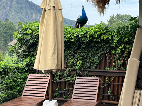 98英亩度假村主图