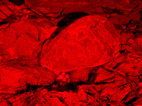 Zugadventures-奥尔塔必去景点