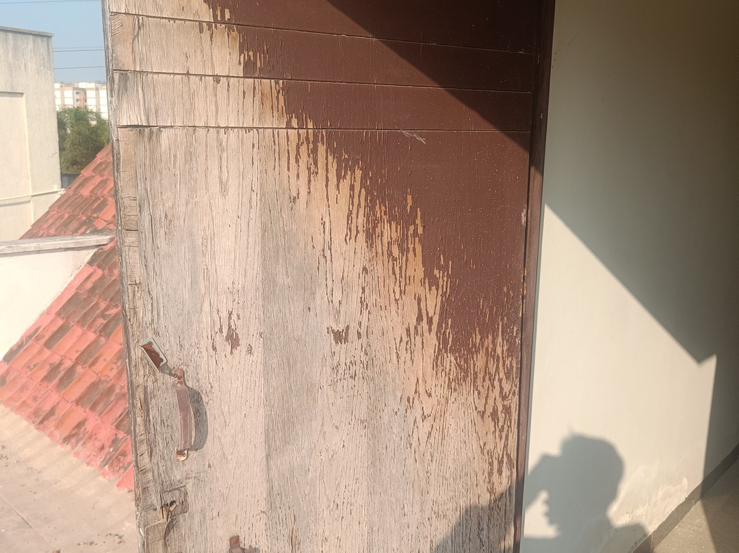 夏绿度假村主图