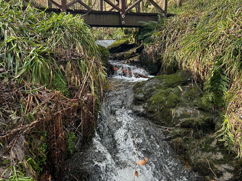 Maspie Den-Falkland必去景点