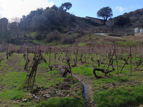 Monastery of Agiou Nikolaou, Metsovo-迈措沃必去景点