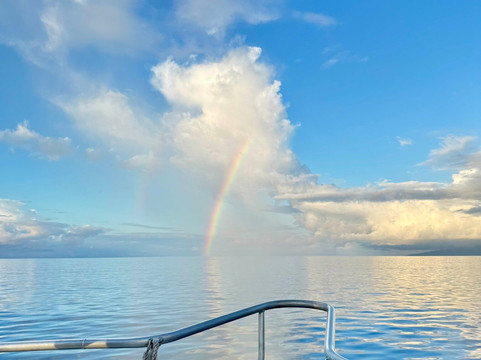 Maui Diamond Sea Sports-玛阿拉也亚必去景点