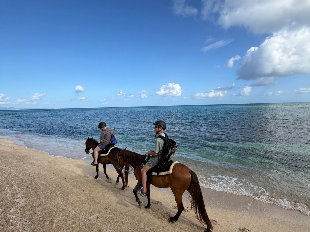 Colon Horseback Riding-维切克岛必去景点