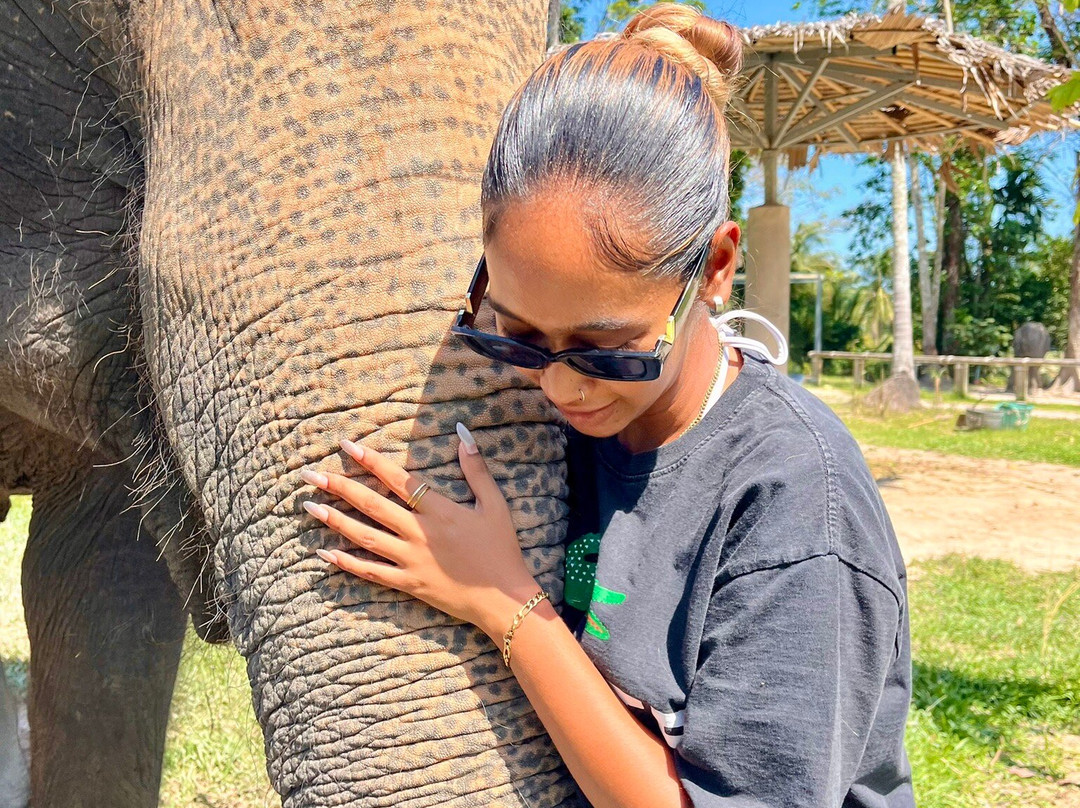 Trunk & Soul Elephant Home-班巴克洛必去景点