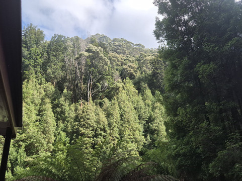 West Coast Wilderness Railway-皇后镇必去景点