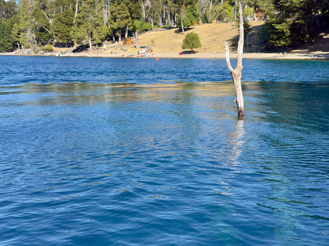 Bosque Sumergido-Villa Traful必去景点