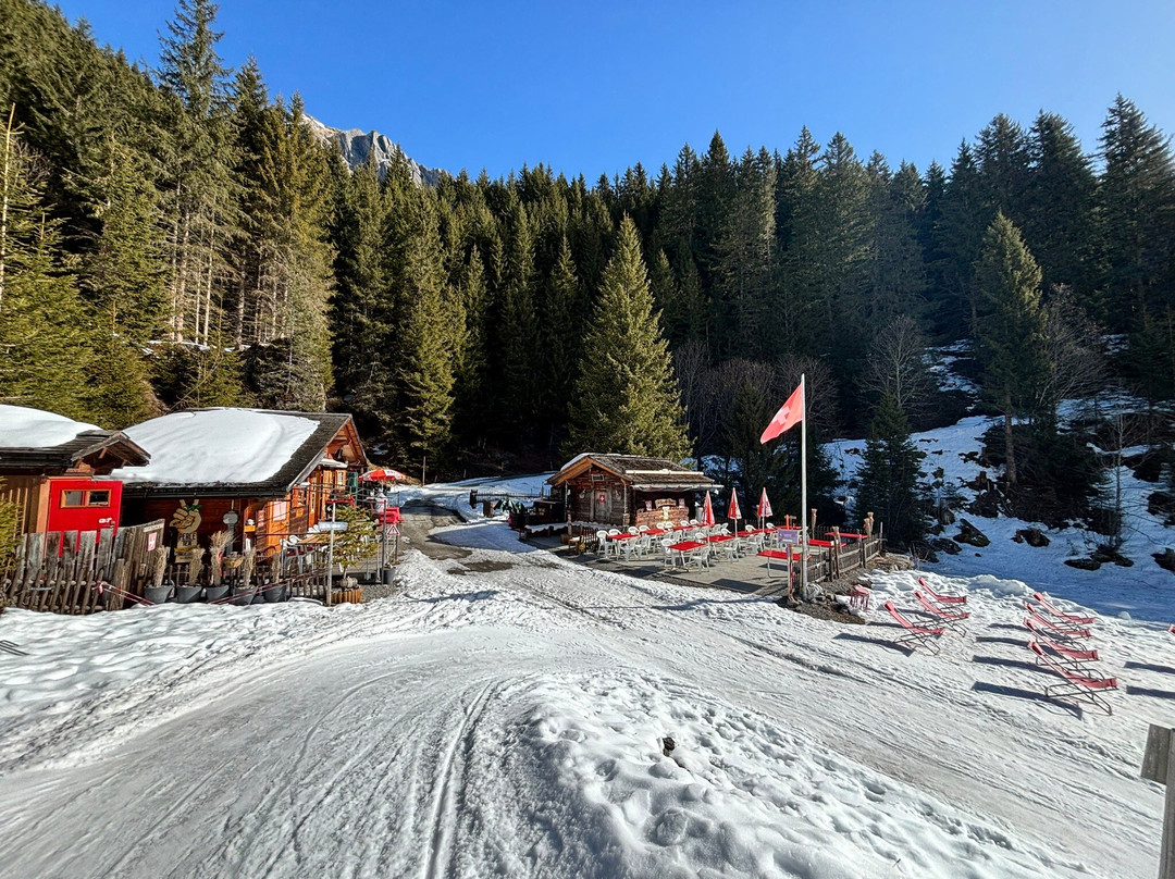 Wanderung Bussalp - Bort-格林德瓦必去景点