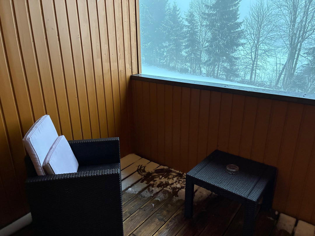 加特施梅尔莫霍夫酒店主图