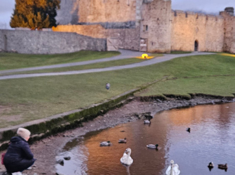 Unique Tours Ireland-Ballyconnell必去景点