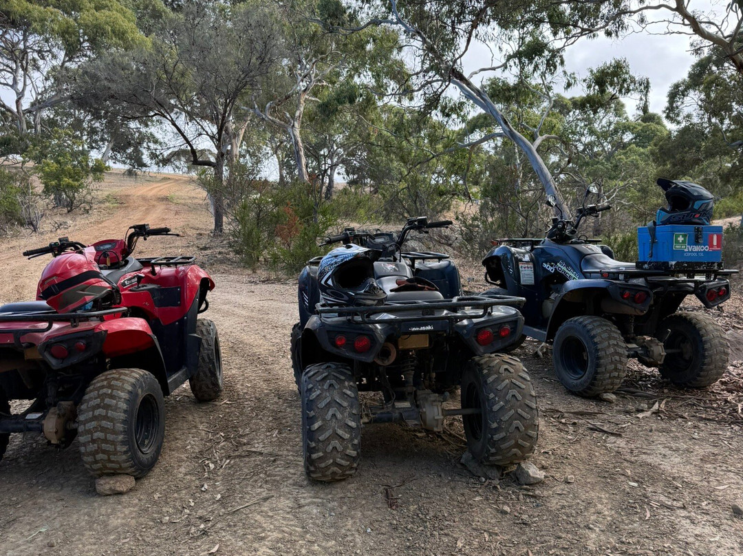 Waitpinga Farm Quad Bike Adventures-Waitpinga必去景点