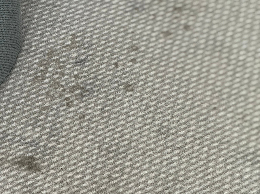 罗森海姆智选假日酒店主图