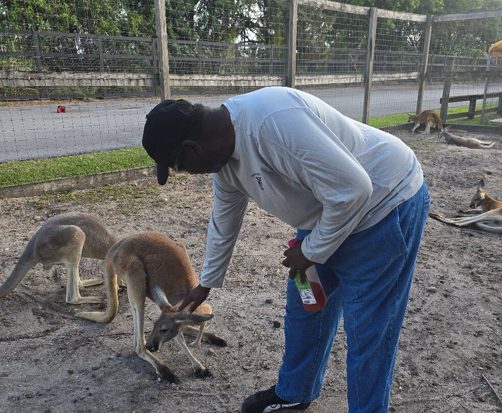 Animal Edventure Park-博因顿海滩必去景点